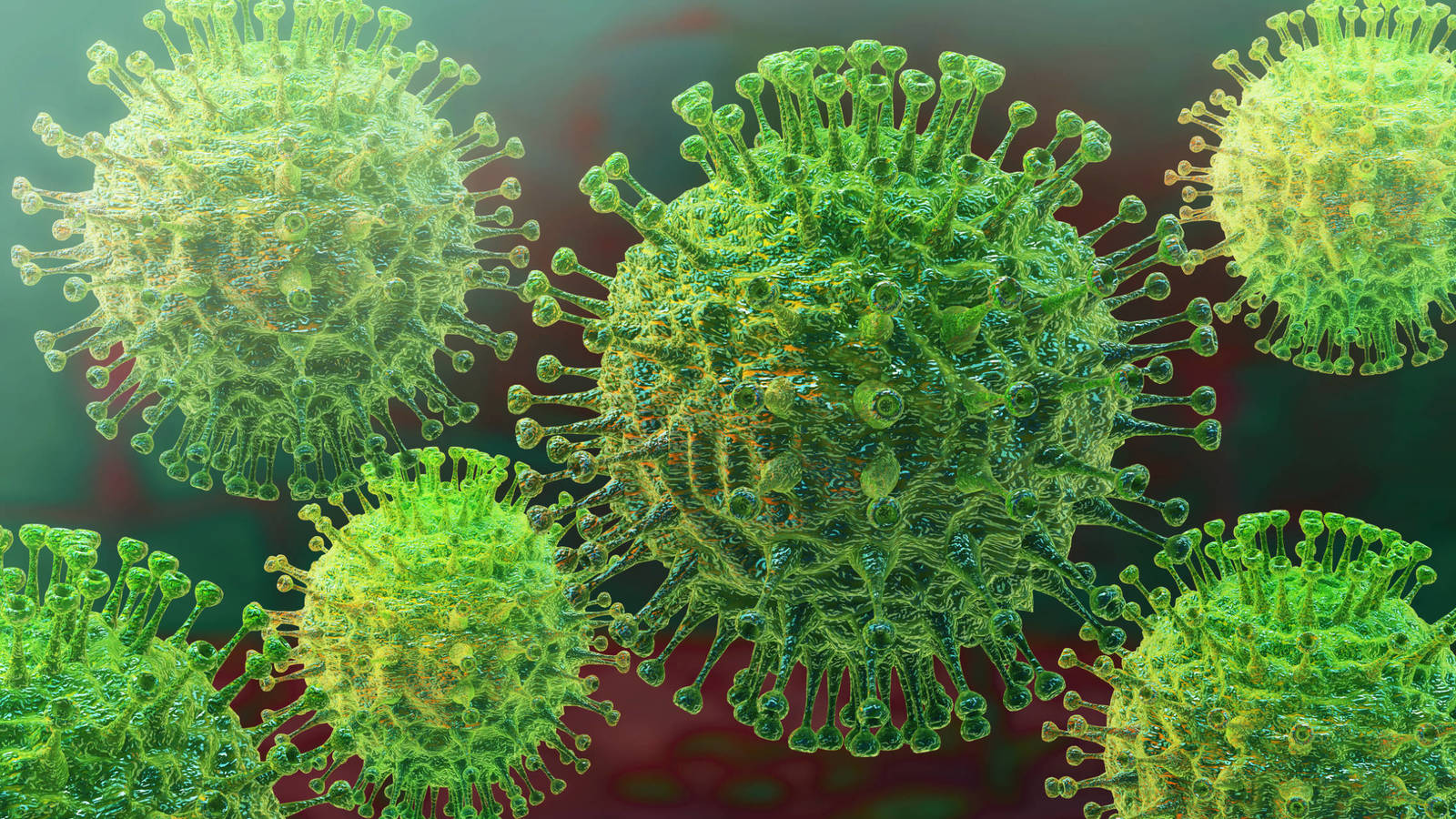 Coronavirus: Nueva sección en nuestra web